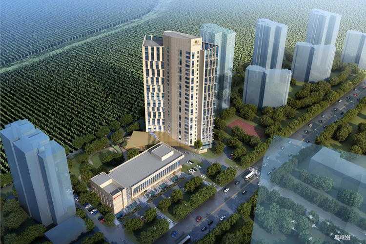 不负春景起好步，希尔顿逸林酒店公寓项目银行主体封顶大吉